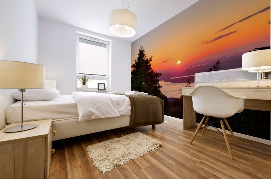 Acadia Sunrise Mural print