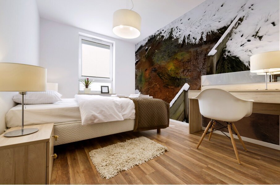 Reitz  2 Lower AMD Mural print