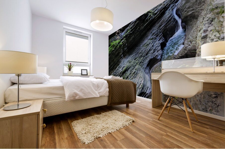 Watkins Glen State Park 2 Impression murale