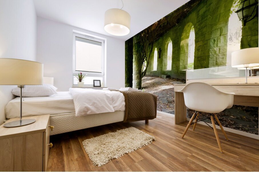 Mt Assisi Garden 3 Mural print