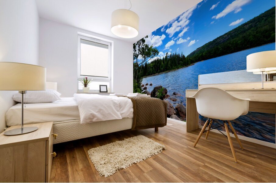 Acadia Landscape Mural print