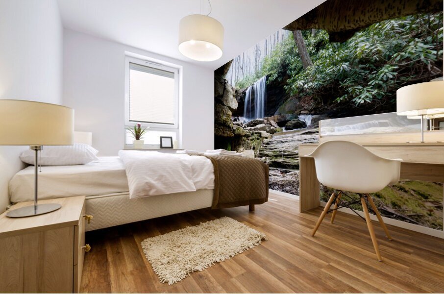 Cole Run Falls Mural print