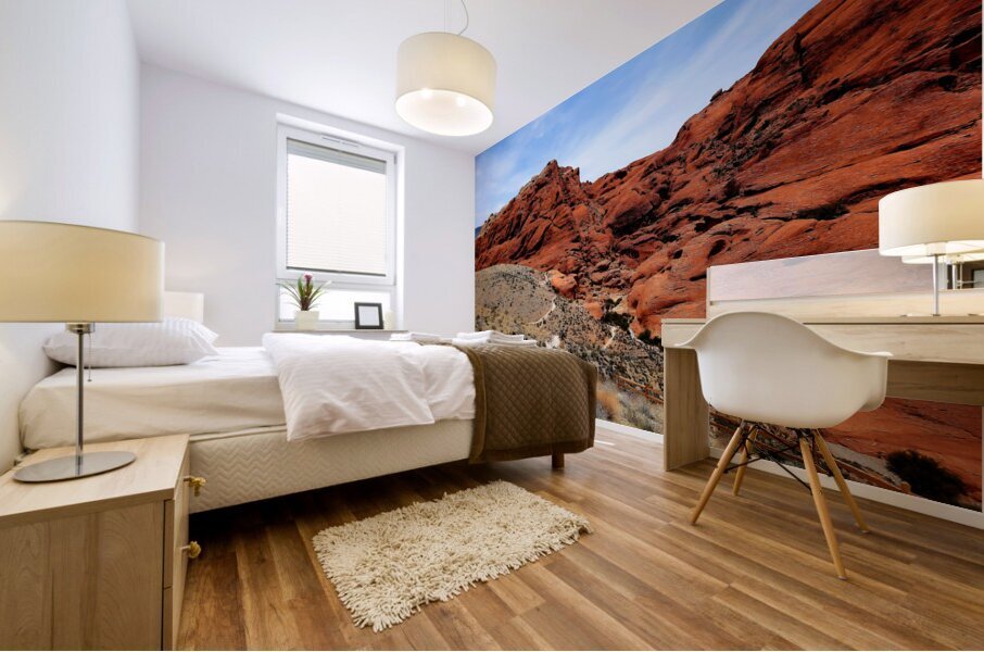 Red Rock Canyon 2 Mural print