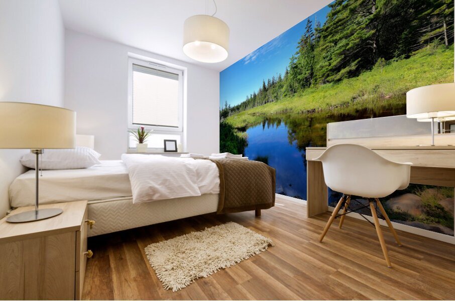 Acadia Wetland Mural print