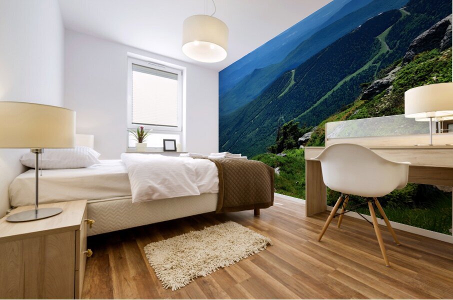 White Mountains 2 Mural print