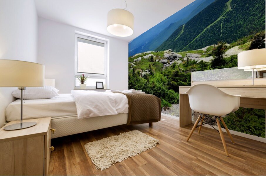 White Mountains Mural print