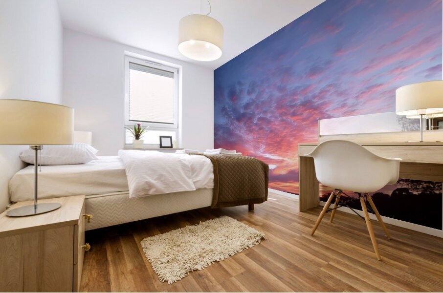 Pink In The Morning Mural print