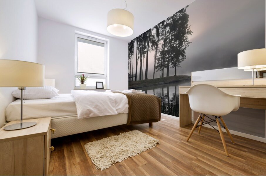 Wilmore Dam Reflections Mural print