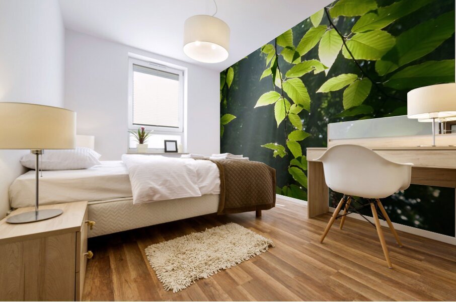 Beech Trees Mural print