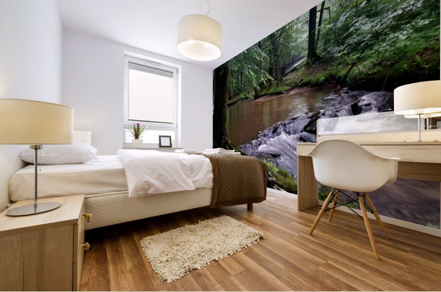 Hemlock Stream Mural print