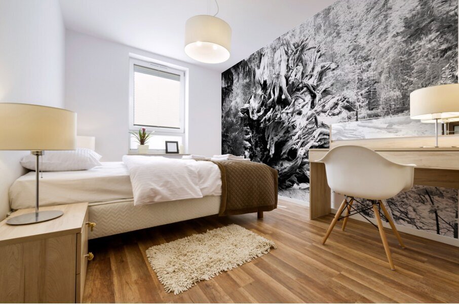 Sequoia Root Wad Impression murale