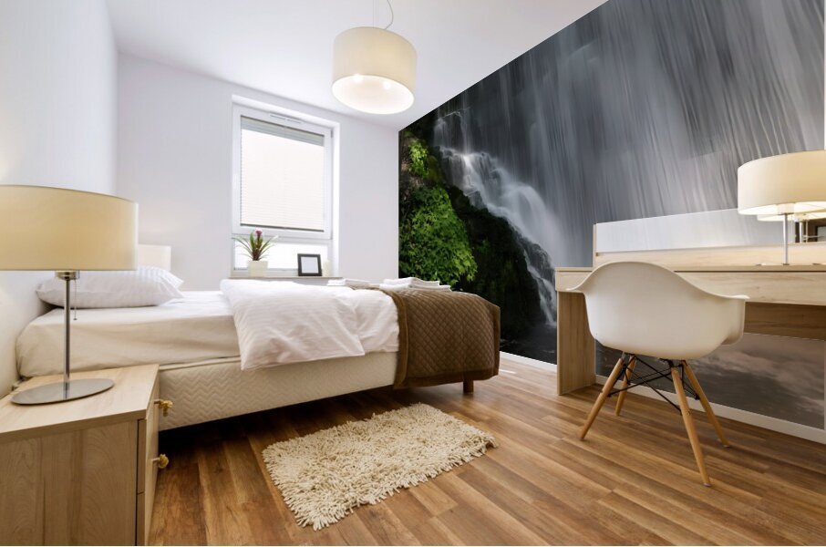 Bushkill Falls Mural print