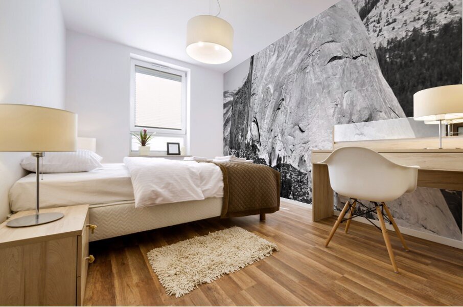 Half Dome Mural print