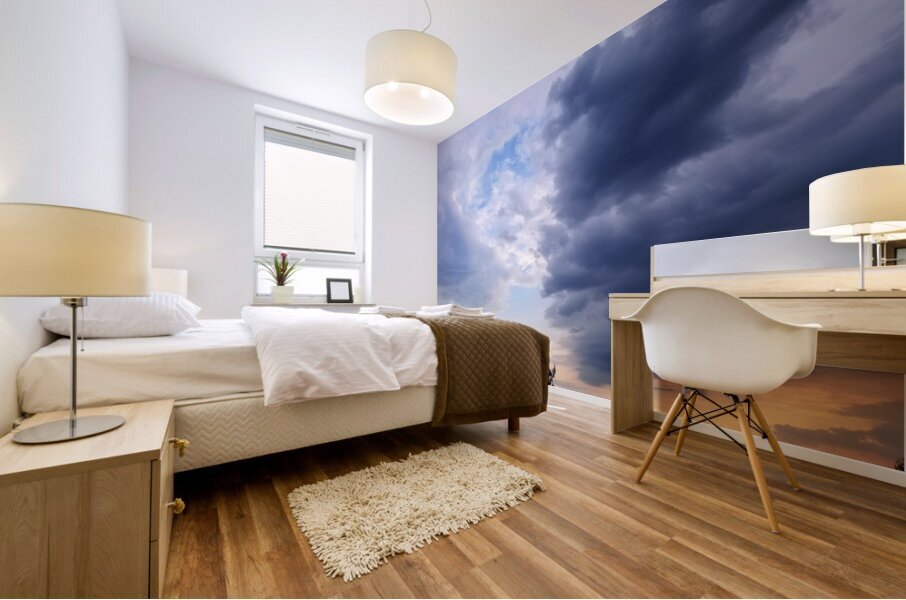 Storm Front Mural print