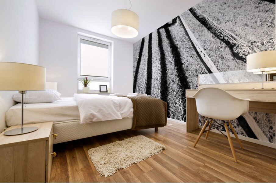 Split Rail Shadows Mural print