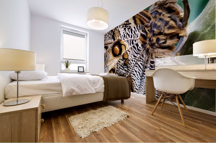 Owl Butterfly Mural print