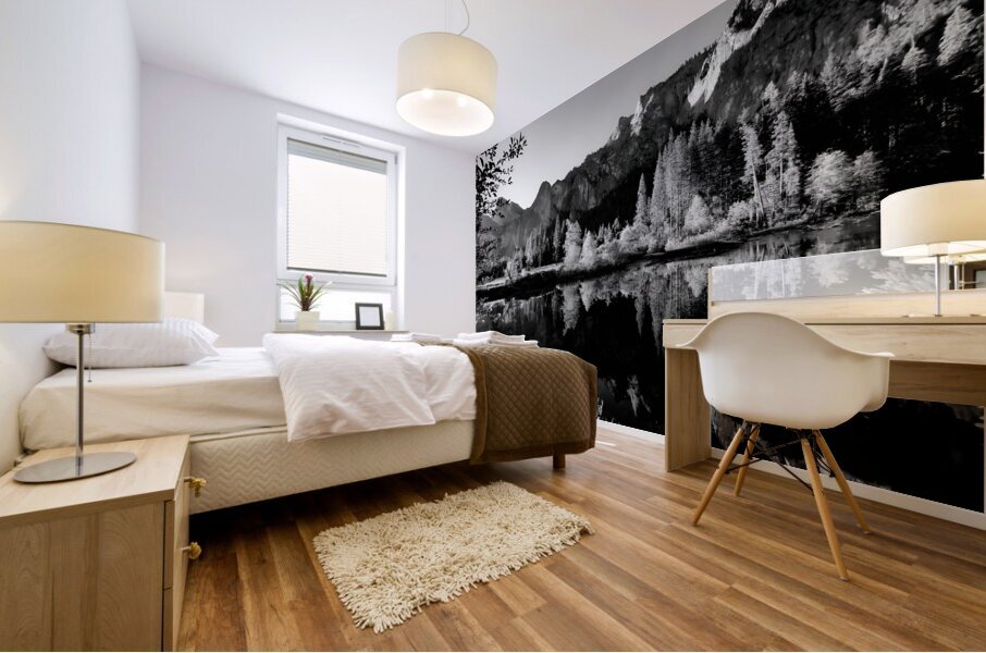 Yosemite Valley Mural print