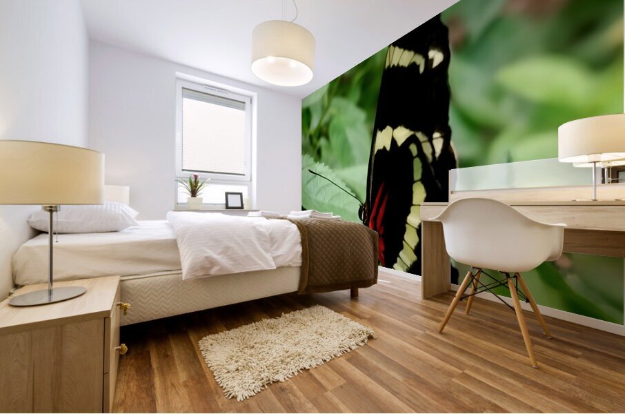 Butterfly Mural print