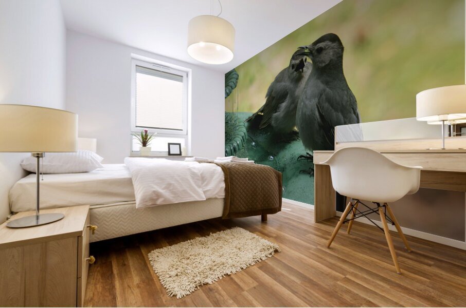 Catbird Scolding Mural print