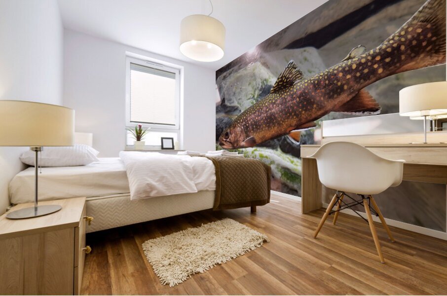 Brook Trout Mural print