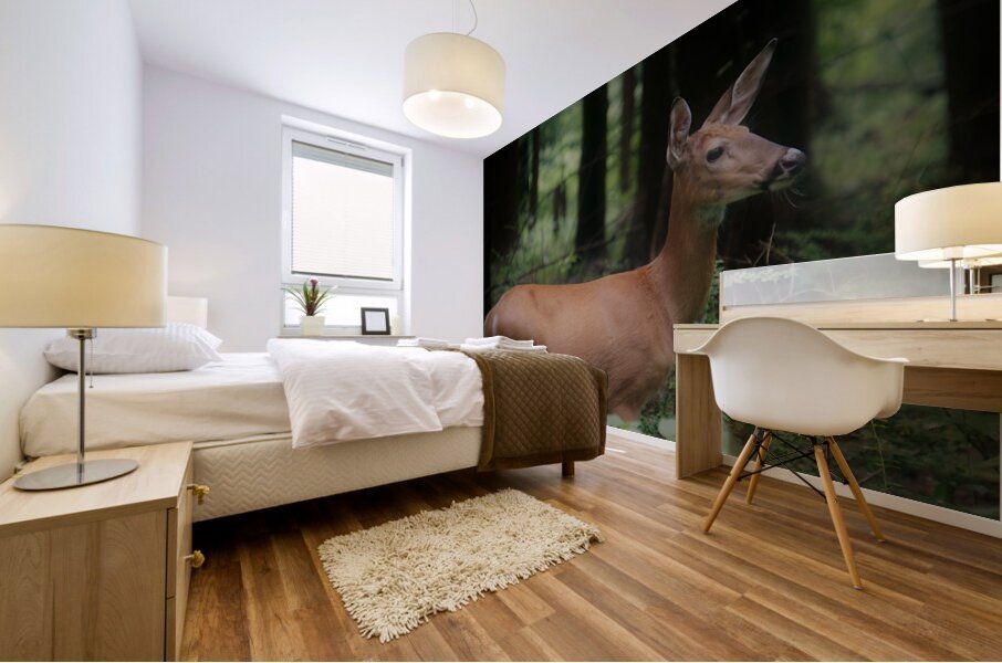 Doe Mural print