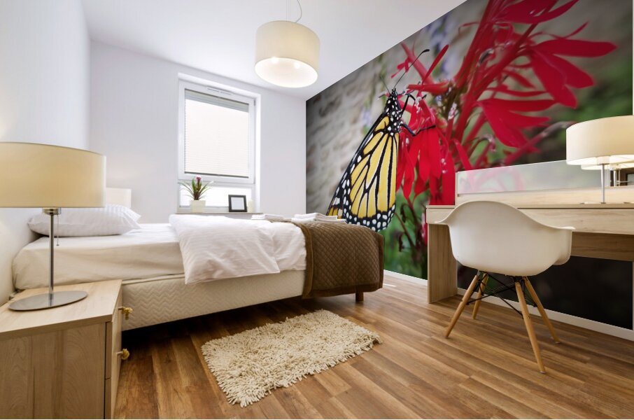 Monarch On Cardinal Flower Mural print