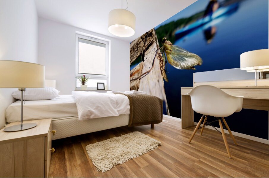 Emerging Dragonfly Mural print