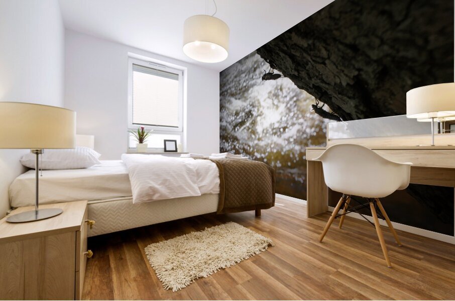 Stonefly Shucks Impression murale