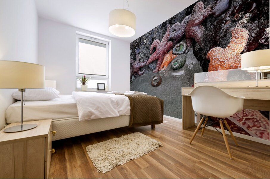 Tidal Pool 4 Mural print