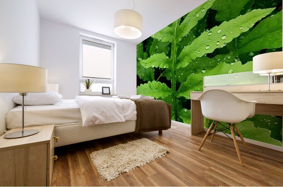 Sensitive Fern Mural print