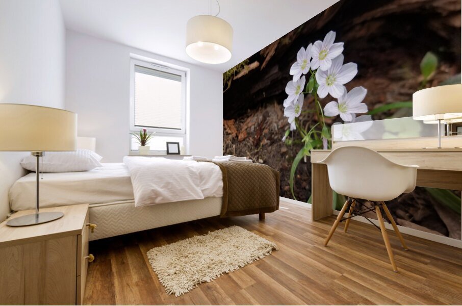 Spring Beauties Mural print