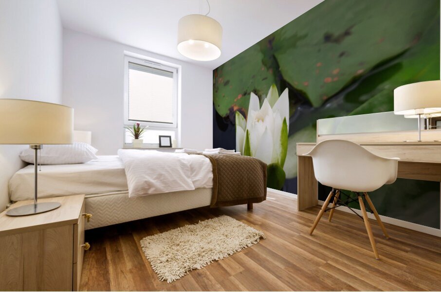 Water Lily Mural print