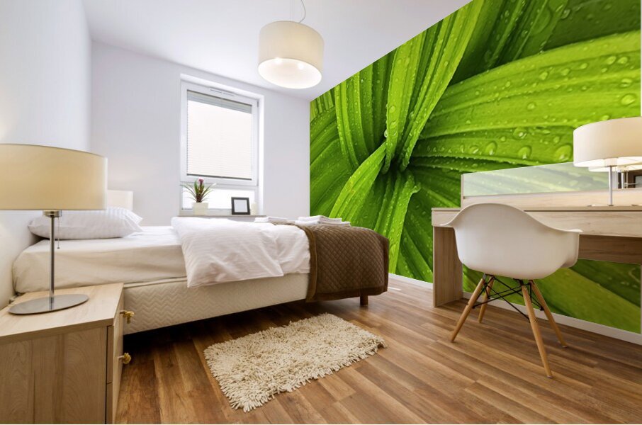 False Hellebore Mural print