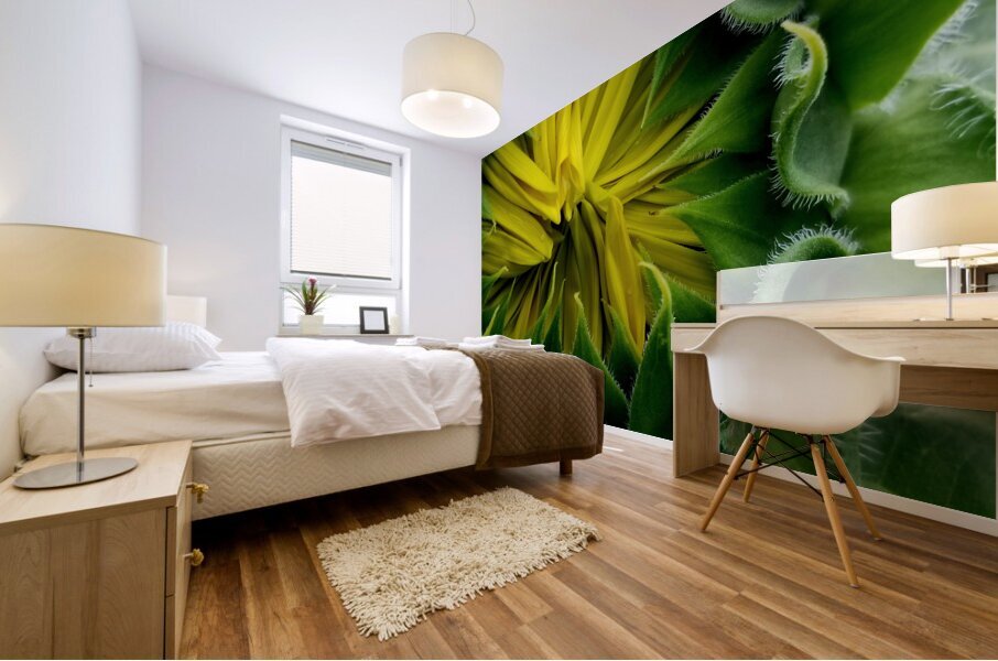 Sunflower Bud Mural print