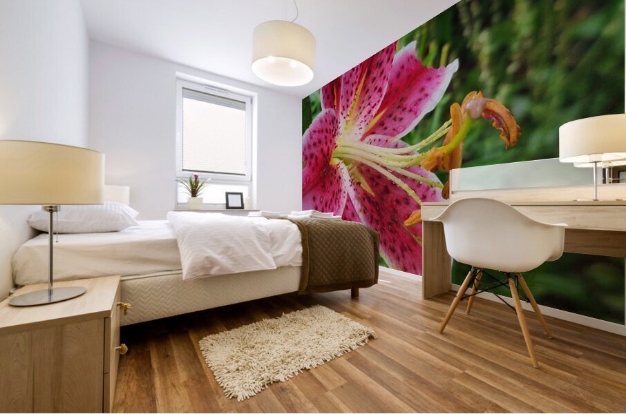 Stargazer Lily Mural print