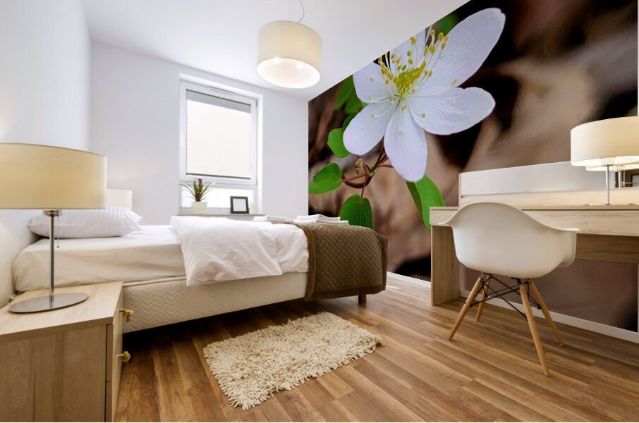 Rue Anemone Mural print