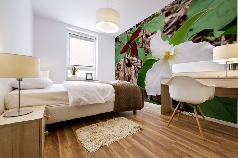 Trillium Impression murale