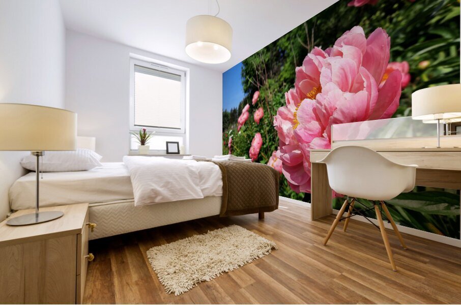 Salmon Peony Row Mural print