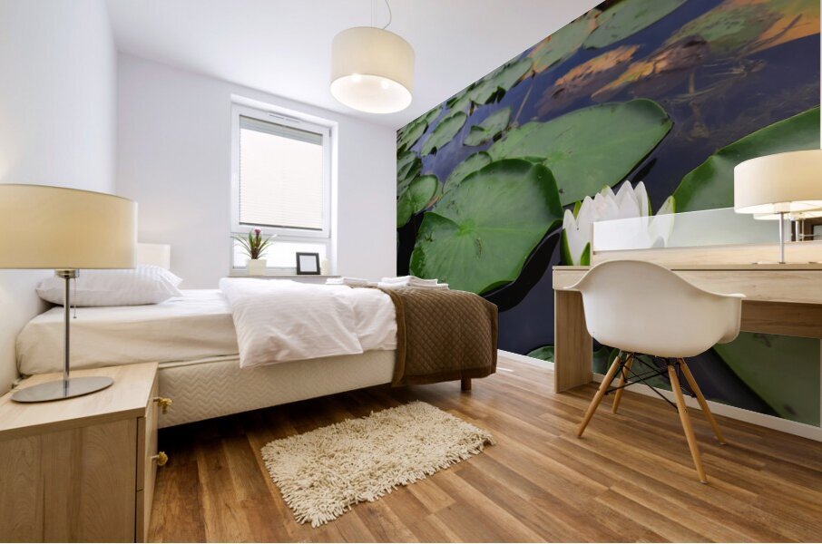 Water Lily 2 Mural print