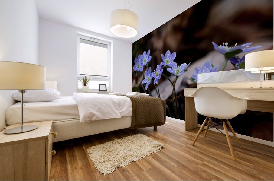 Hepatica Mural print