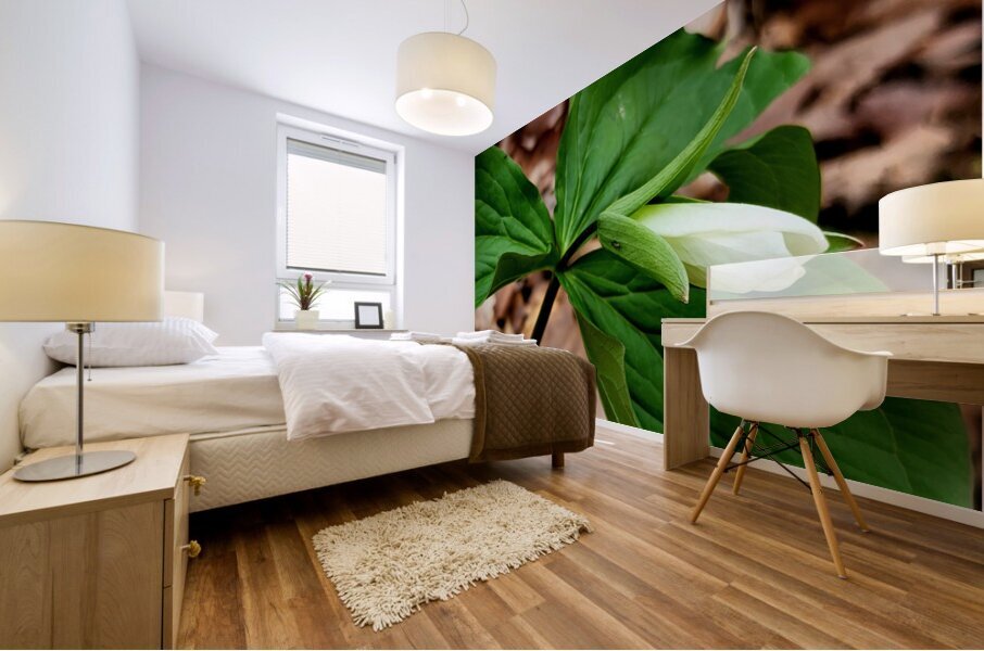 White Trillium Bud Impression murale