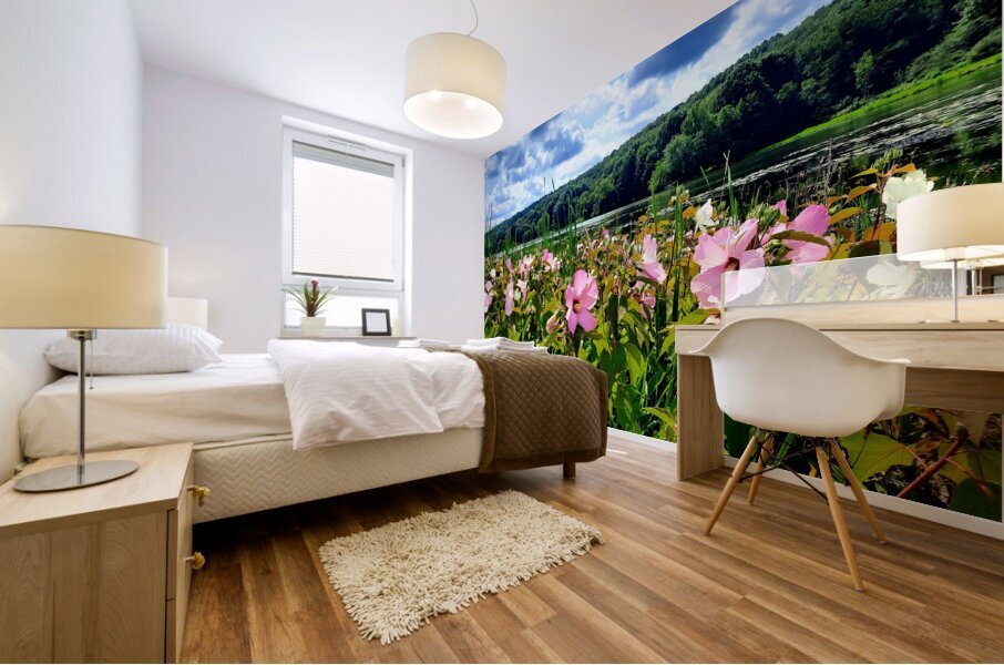 Swamp Mallow At Moraine State Park Mural print