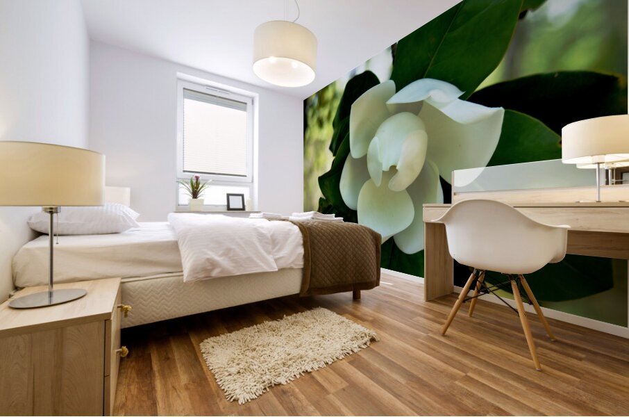 Magnolia Flower Impression murale