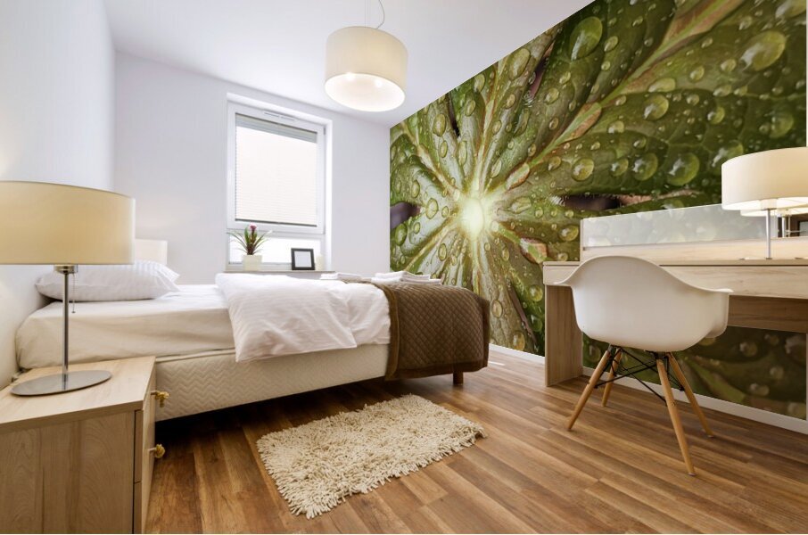 Raindrops On Mayapple Mural print