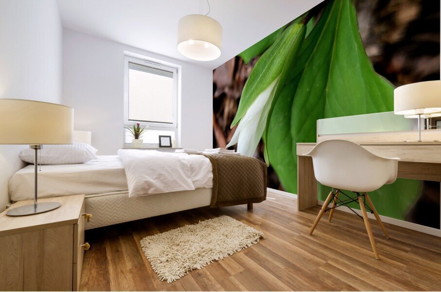 White Trillium Bud 1 Mural print
