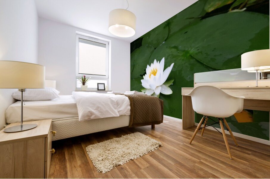 Water Lily 1 Mural print