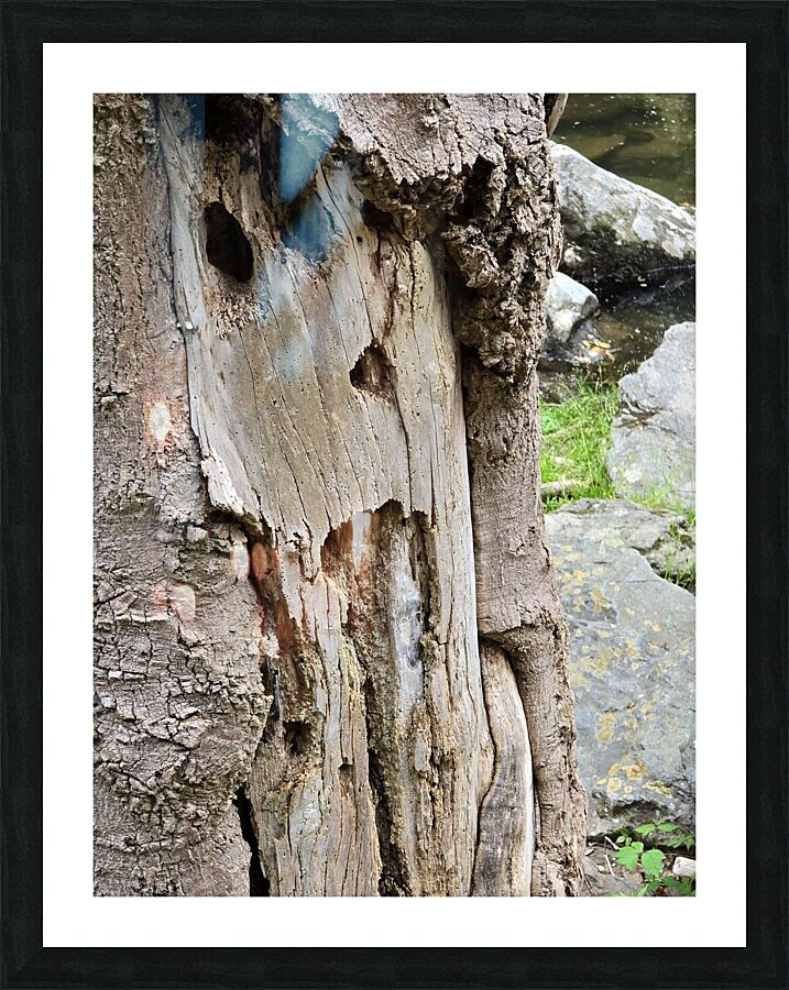 Faces Of The Smokies 4 Picture Frame print