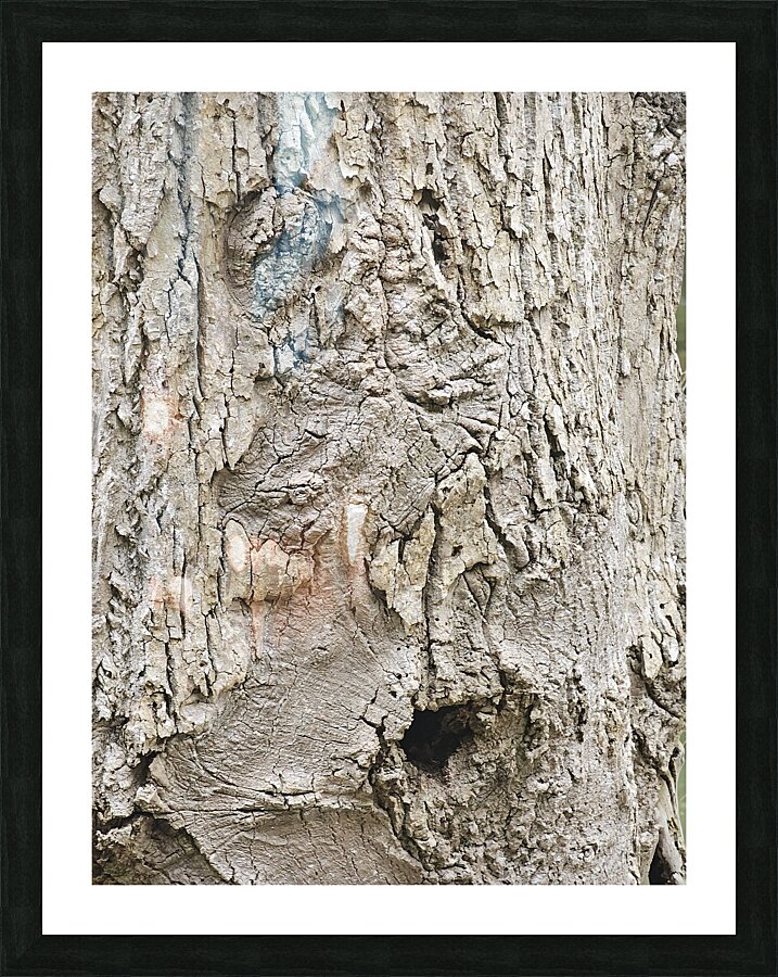 Faces Of The Smokies 3 Picture Frame print