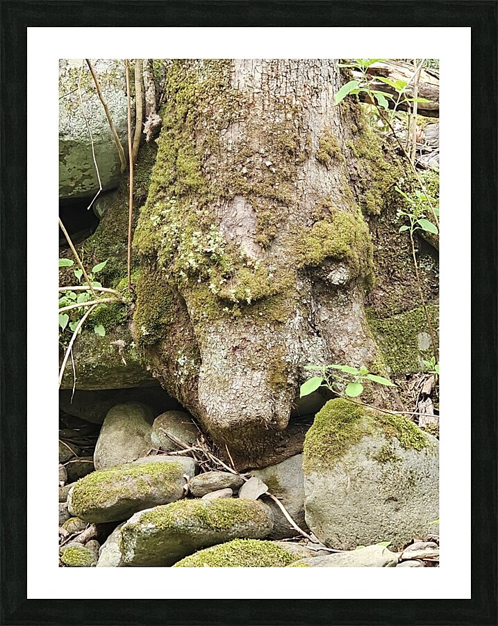 Faces Of The Smokies 1 Picture Frame print