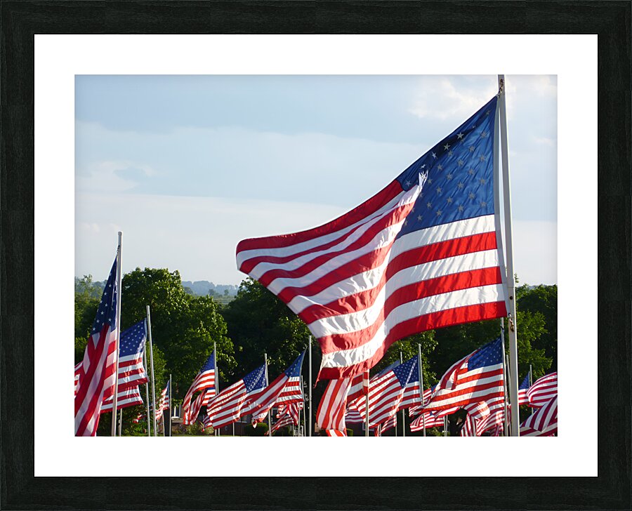 Flags Picture Frame print